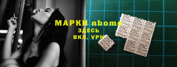 СК Алексин