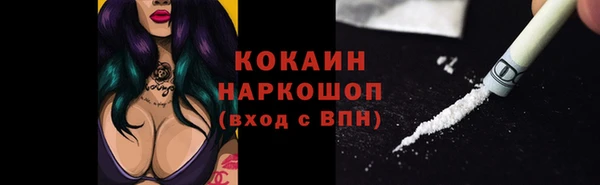 прущие крисы Абаза