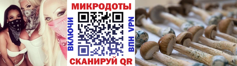купить наркоту  Камень-на-Оби  kraken как зайти  Псилоцибиновые грибы мухоморы 