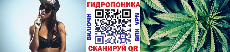 Шишки марихуана VHQ  Камень-на-Оби 